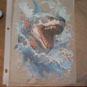 Shark Graphic Art Print